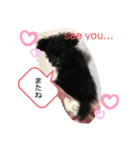 ♡パピプー  かりんの1日 part2♡（個別スタンプ：31）