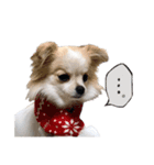 Puppy Rosie（個別スタンプ：4）