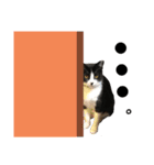 ねこズ❤️（個別スタンプ：22）