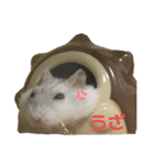 もるはむず（個別スタンプ：4）