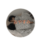 双子 連絡用（個別スタンプ：4）