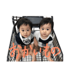双子 連絡用（個別スタンプ：21）