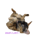 NeNe:1（個別スタンプ：2）