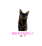 NeNe:1（個別スタンプ：5）
