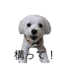 OEN（個別スタンプ：4）