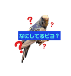めがねくんと丸顔ちゃん2（個別スタンプ：5）