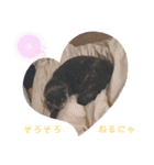 ばぶネコくーちゃん（個別スタンプ：20）