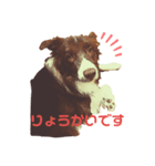 TORO 2（個別スタンプ：4）