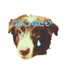 TORO 2（個別スタンプ：5）