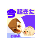 ミーさんとマーさん 6（個別スタンプ：7）