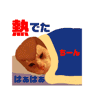 ミーさんとマーさん 6（個別スタンプ：34）