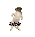 みくるのいる暮らし（個別スタンプ：6）