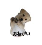 みくるのいる暮らし（個別スタンプ：7）