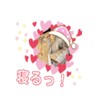 リリちゃんの1日（個別スタンプ：7）