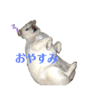 リリちゃんの1日（個別スタンプ：8）