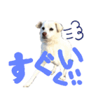 リリちゃんの1日（個別スタンプ：11）