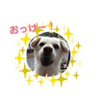 リリちゃんの1日（個別スタンプ：14）