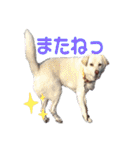 リリちゃんの1日（個別スタンプ：15）