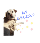 リリちゃんの1日（個別スタンプ：17）