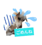 リリちゃんの1日（個別スタンプ：23）
