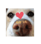 リリちゃんの1日（個別スタンプ：24）