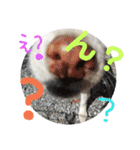 リリちゃんの1日（個別スタンプ：26）