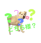 リリちゃんの1日（個別スタンプ：29）