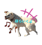 リリちゃんの1日（個別スタンプ：31）
