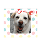 リリちゃんの1日（個別スタンプ：33）