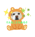 リリちゃんの1日（個別スタンプ：35）