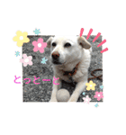 リリちゃんの1日（個別スタンプ：36）