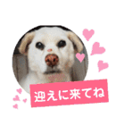 リリちゃんの1日（個別スタンプ：39）