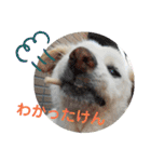 リリちゃんの1日（個別スタンプ：40）