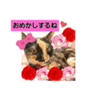 うちネコ気分（個別スタンプ：2）