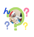あしゅら丸③（個別スタンプ：3）