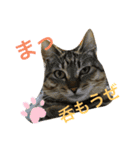 おらいのたからもの（個別スタンプ：1）