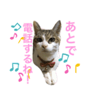 おらいのたからもの（個別スタンプ：2）