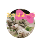 おらいのたからもの（個別スタンプ：3）