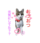 おらいのたからもの（個別スタンプ：4）