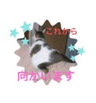 おらいのたからもの（個別スタンプ：6）