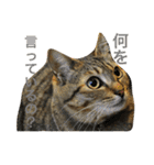 おらいのたからもの（個別スタンプ：7）