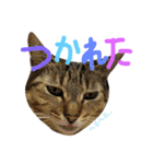 おらいのたからもの（個別スタンプ：13）