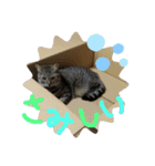 おらいのたからもの（個別スタンプ：16）