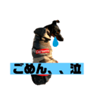 カーメロすたんぷ〜PART1〜追加編（個別スタンプ：7）