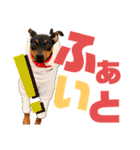 カーメロすたんぷ〜PART1〜追加編（個別スタンプ：20）