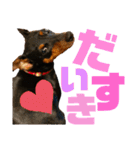 カーメロすたんぷ〜PART1〜追加編（個別スタンプ：23）