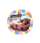 MOCO’sスタンプ（個別スタンプ：3）