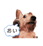 MOCO’sスタンプ（個別スタンプ：17）