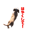 MOCO’sスタンプ（個別スタンプ：22）