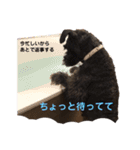 木村家のわかめ2（個別スタンプ：5）